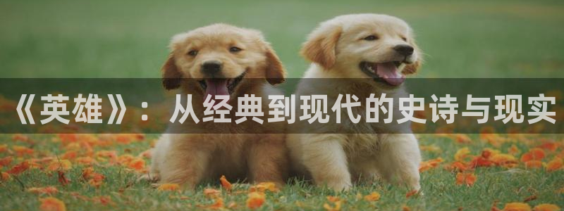 新闻图片