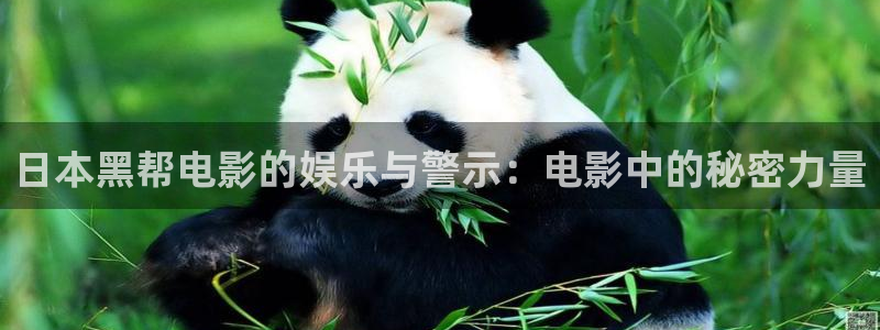 红樱桃电视剧在线播放