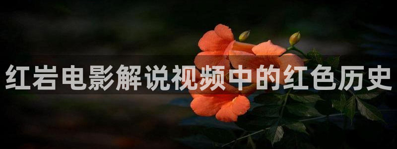 樱桃的樱桃
