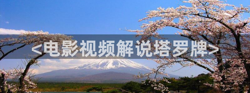 网站樱桃视频