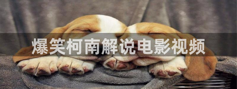 樱桃电影在线免费观看