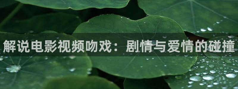 新闻图片