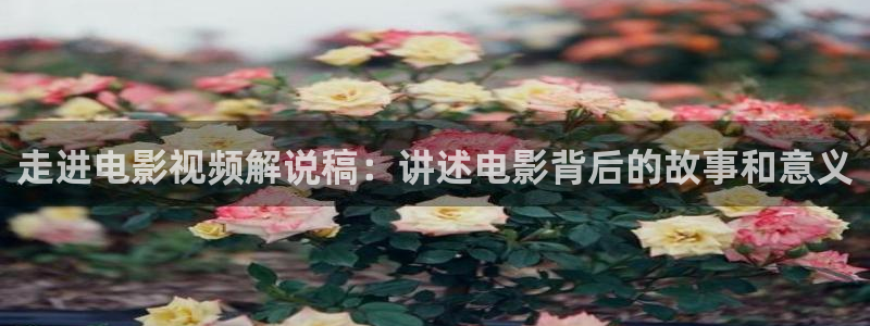 樱桃影院免费观看电视剧高清免费