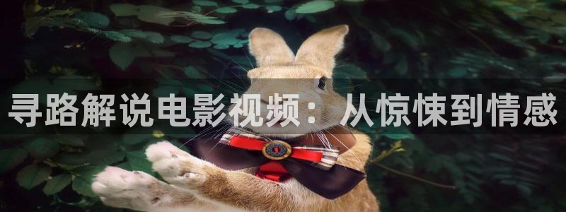 樱桃视频污版