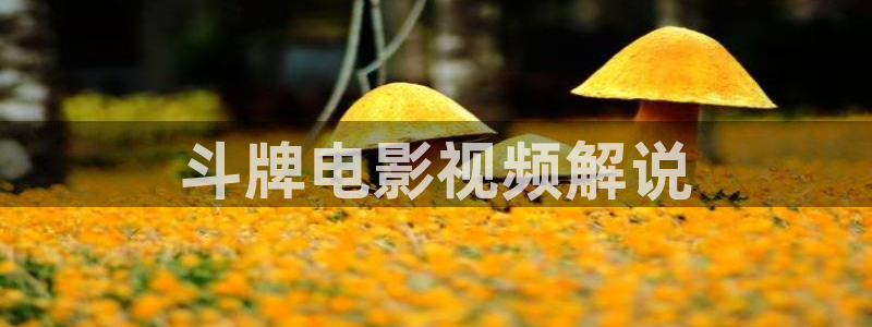 樱桃小视频资源