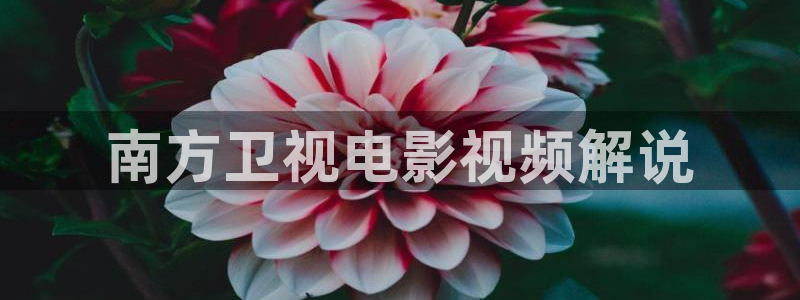 樱桃魔法泰剧免费观看全集